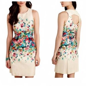Anthropologie MAEVE SZ 4 Watercolor Flower Garden Tea Party Sheath Dress Preppy